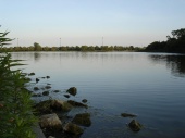 DSC08254.JPG